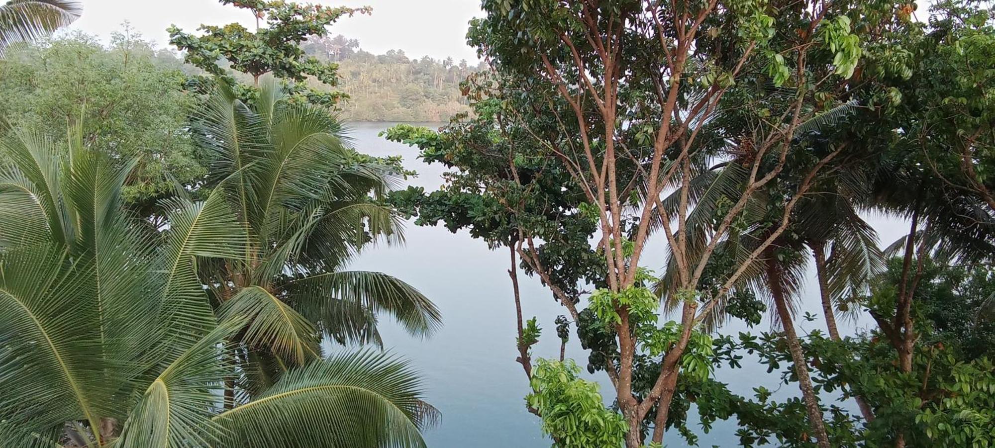 The Green Lagoon Villa Hikkaduwa Exterior foto